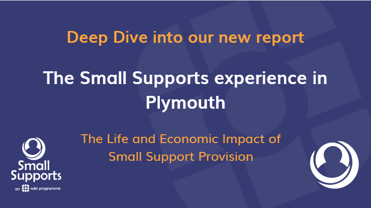 Deep Dive into our new report, The Small Supports experience in Plymouth