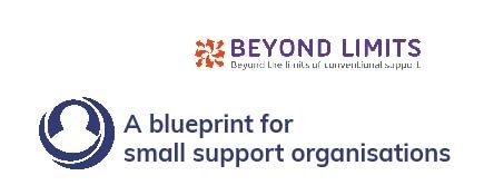 Beyond Limits: A blueprint for Small Supports organisations